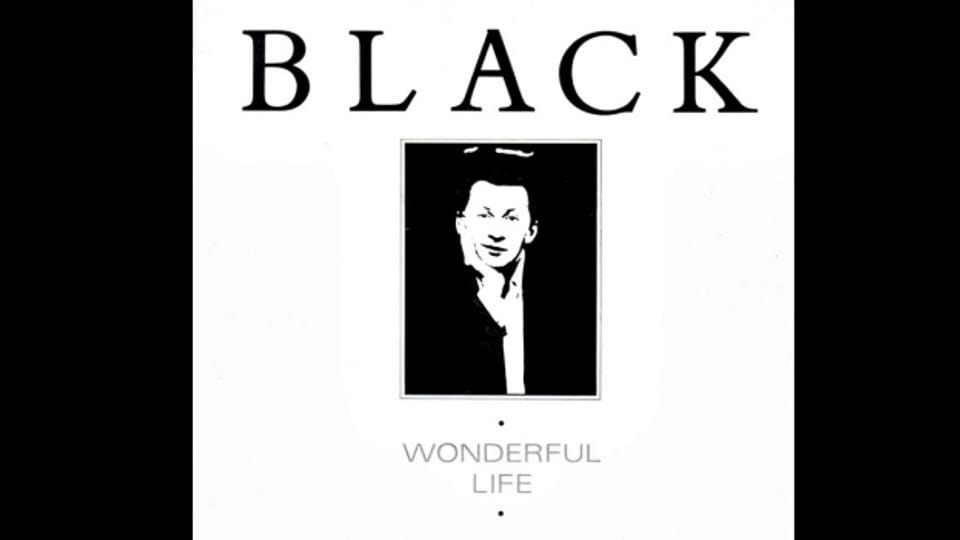 Singlecover des One-Hit-Wonders «Wonderful Life»