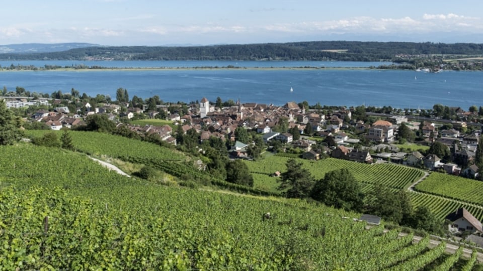 An den Gestaden des Neuenburgersees wird viel Œil de Perdrix angebaut: ein Rosé aus Pinot Noir.