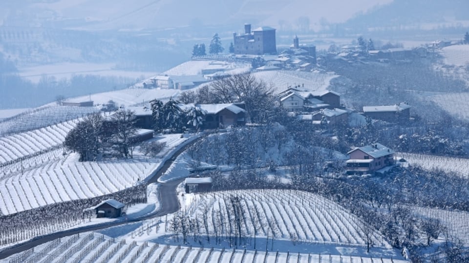 Winterliche Reblandschaft in den Langhe (Piemont).