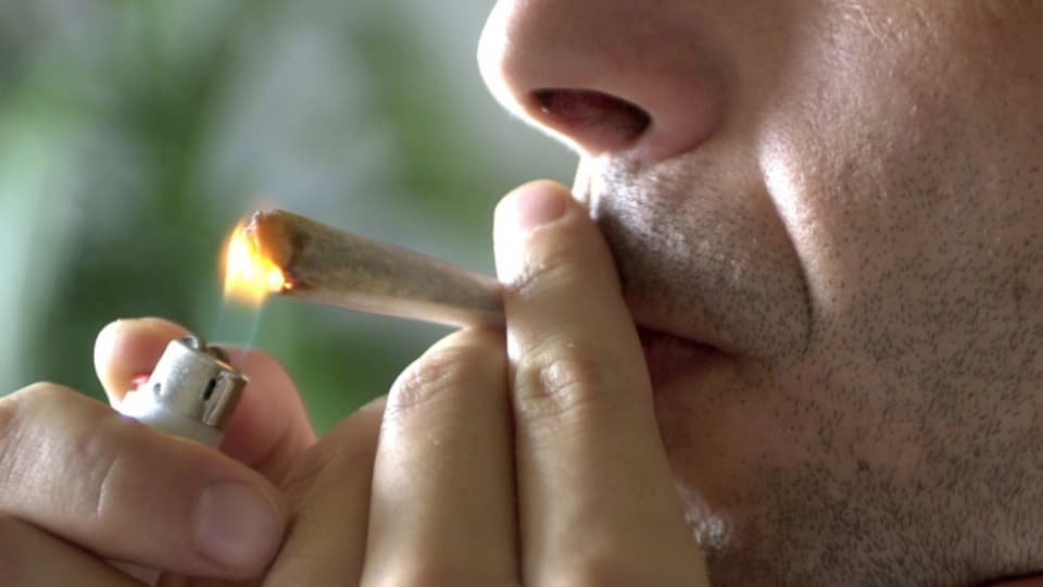 Soll der Cannabis-Konsum verboten bleiben oder wäre eine Legalisierung zeitgemäss?