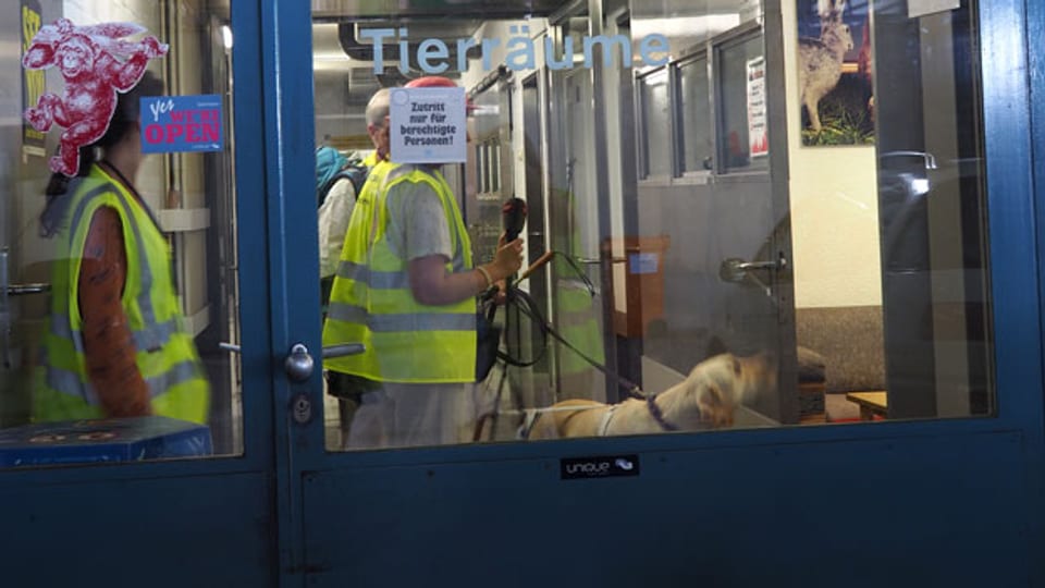 Besuch am Flughafen: In den Tierräumen reisen die Tiere mit.