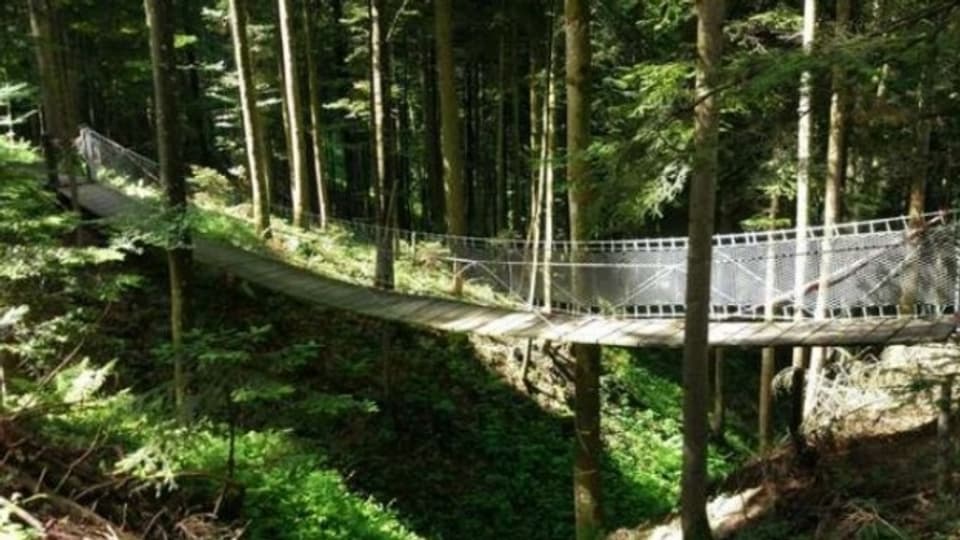 «Naturena»-Weg: Die kleinste Hängebrücke der Schweiz auf dem Raten.