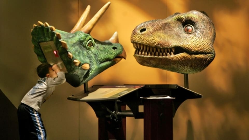 Mehr als nur bestaunen: Ein Museum ist auch für Forscher interessant. (Hier das Museum of Natural History in Cleveland).