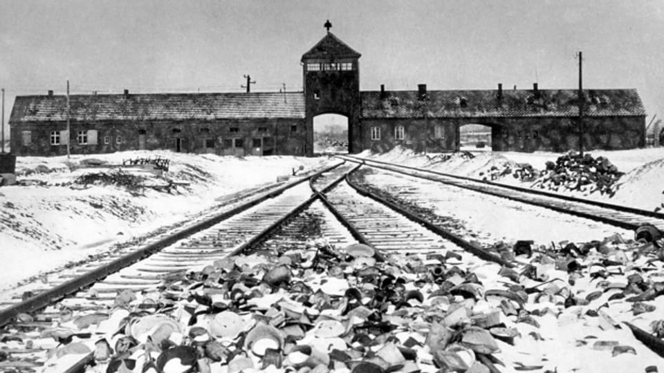 Auschwitz, Januar 1945