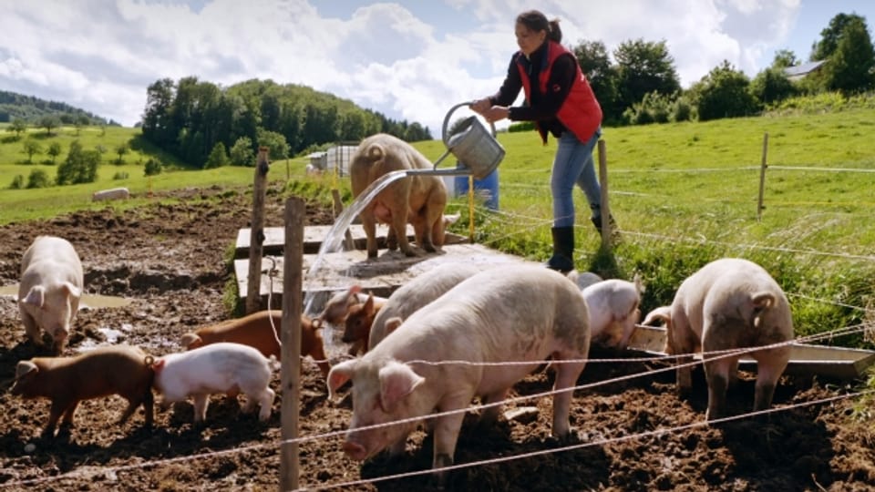 Der Film «Fair Traders» zeigt Persönlichkeiten, die in der Schweiz fair produzieren und handeln.