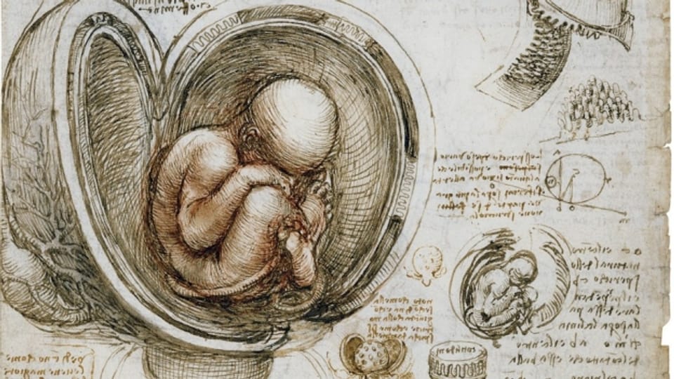 Leonardo Da Vinci wollte genau wissen, wie der menschliche Körper funktioniert. Für seine Forschungen und Skizzen sezierte er insgesamt über 30 Leichen.