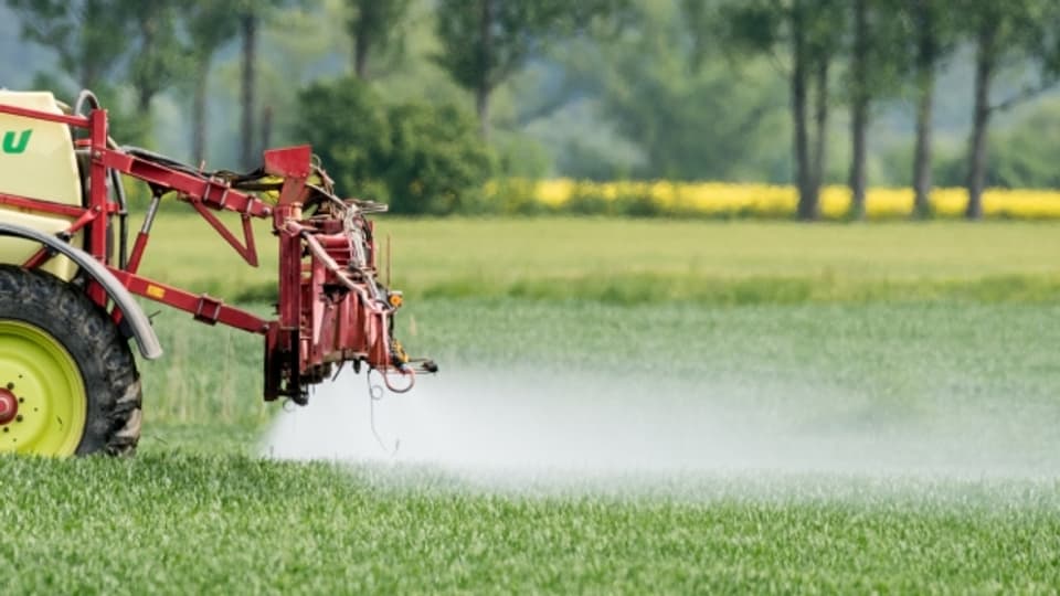 Pestizide in der Landwirtschaft - sie sind umstritten