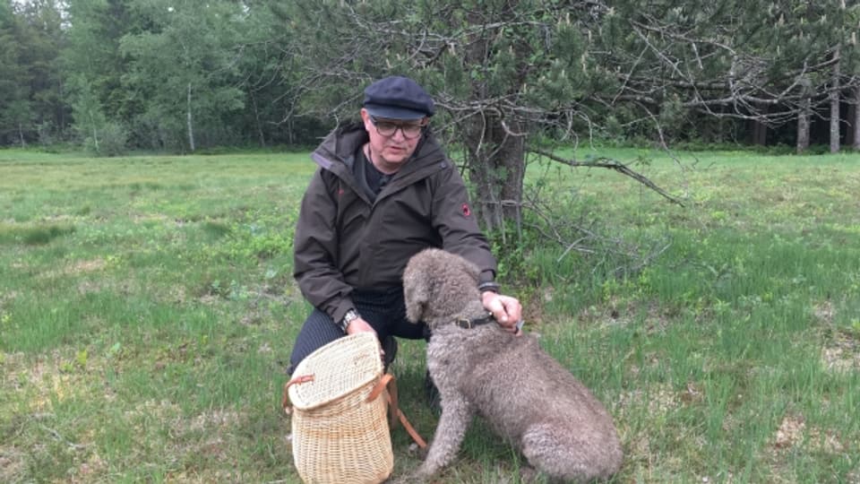 Auf der Suche nach Moorrosen und Vogelbeerbaumblättern - Spitzenkoch Stefan Wiesner unterwegs im Moor mit seinem Hund Levy
