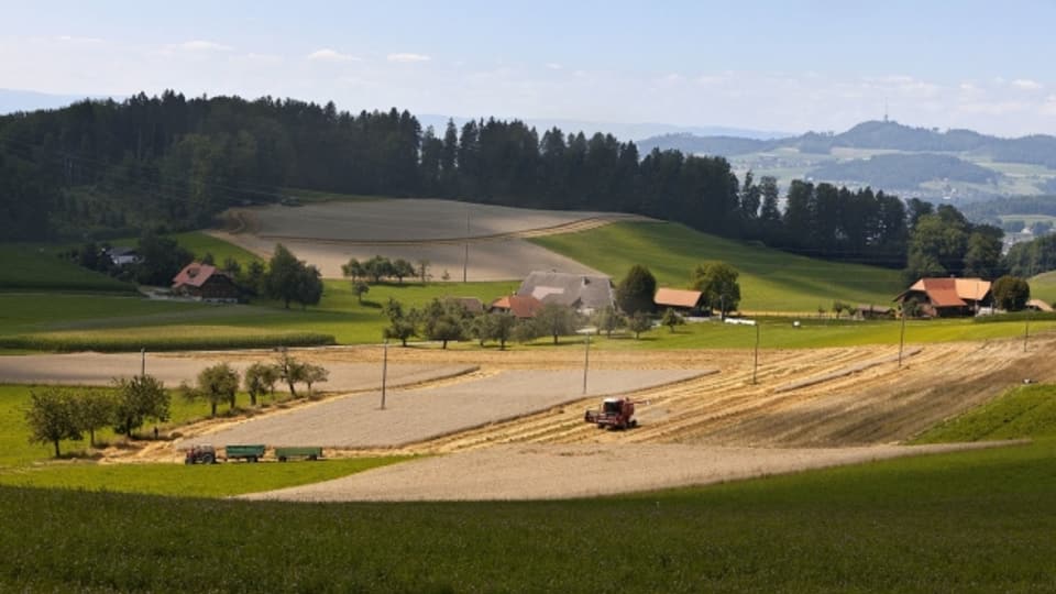 Bauern ernten in Herolfingen bei Konolfingen im Kanton Bern Getreide.