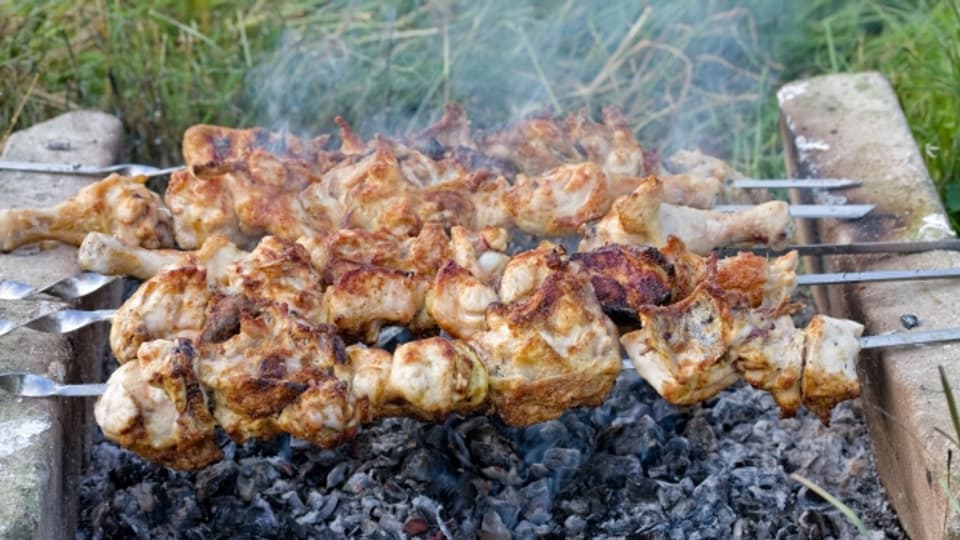 Picknick  - da ist mehr möglich, als nur gerade Fleisch über dem Feuer zu grillieren.