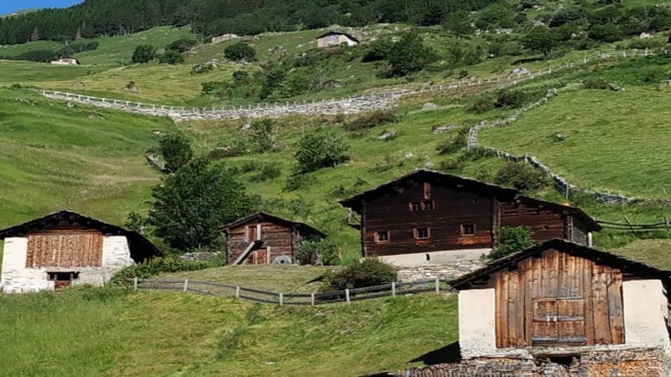 Früher Heuspeicher heute Sommersitz. Die Walser betrieben eine Dreistufen Bewirtschaftung. Im Winter wohnten sie im Tal, im Frühling siedelte man auf das Maiensäss und im Sommer auf die Alp. Viele der traditionellen Ställe stehen heute aber leer.