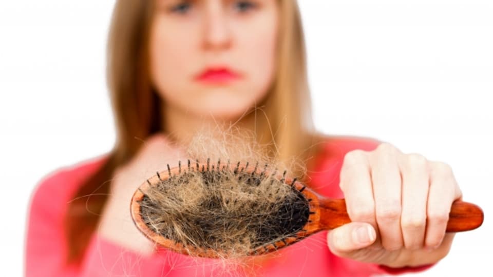 Haare in der Bürste müssen kein schlechtes Zeichen sein. Ein Mensch mit gutem Haarwuchs verliert rund 100 Haare pro Tag.