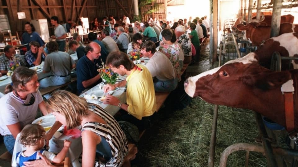 Der 1. August-Brunch auf dem Bauernhof ist seit den neunziger Jahren eine Institution, die Hunderttausende begeistert.