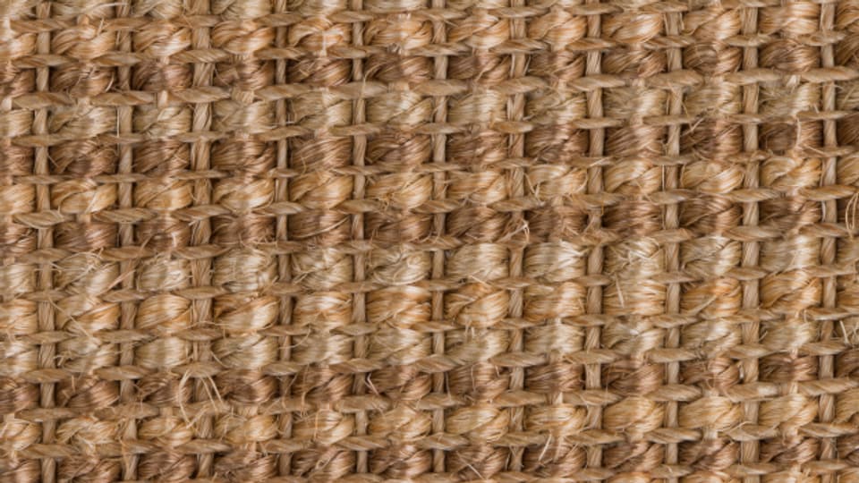 Echte Sisalteppiche werden aus den Fasern der Sisal-Agave hergestellt.