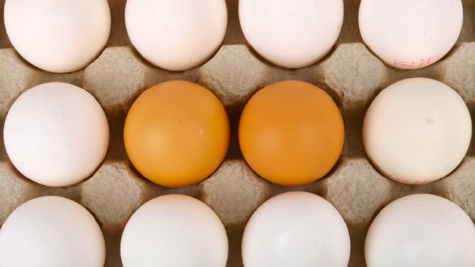 Eier: Eine Hauptquelle von Proteinen oder Eiweissen. Diese kommen jedoch auch in pflanzlichen Produkten wie Hülsenfrüchten vor.