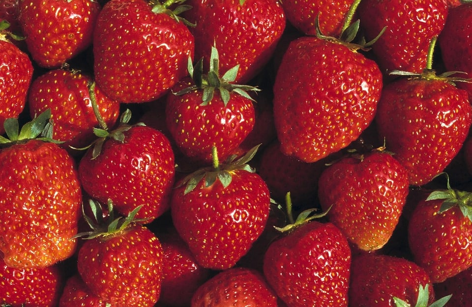 Je nach Dialekt heissen Erdbeeren anders.