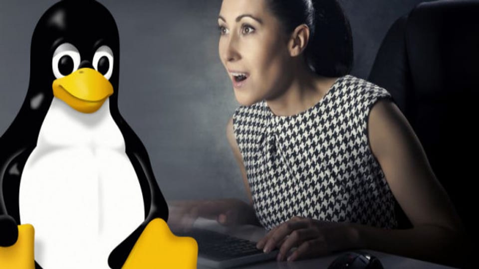 Der Pinguin Tux ist das Maskottchen der Linux-Betriebssysteme.