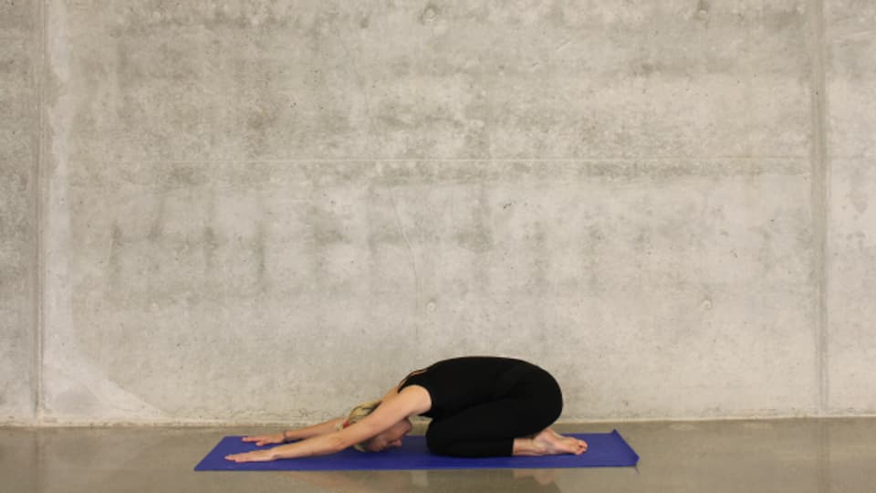 Den Körper und den Geist, mehr braucht es kaum im Yoga.