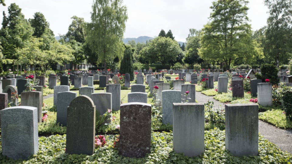 Grabsteine im Friedhof Sihlfeld Zürich.