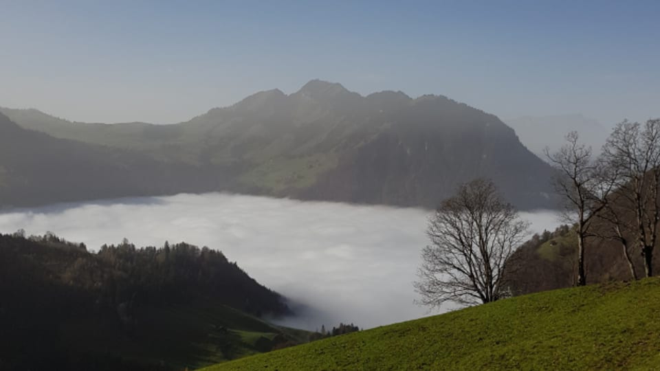 Der Herbst, der Monat November und der Nebel sind das grosse Thema der Songs von Swissmade