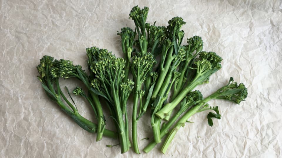 Brocoletti - Wieder zurück zur Urform des Broccoli.