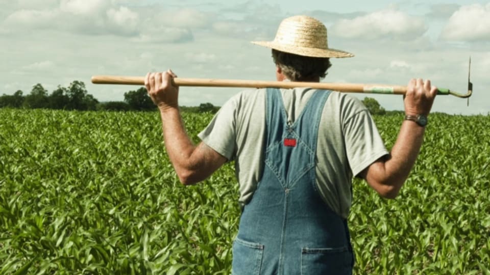 Das Leben der US-Farmer wird mit Vorliebe in Country und Bluegrass-Song besungen.
