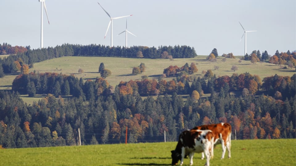 Seit 2011 in Betrieb: der Windpark Le Peuchapatte im Kanton Jura.