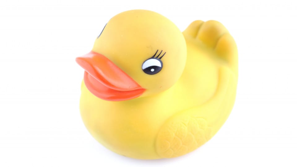 Ente eine Abenteuergeschichte einer Plastikente Kids Hörspiele für