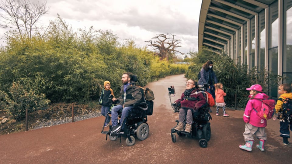 In den Zoo trotz Rollstuhl