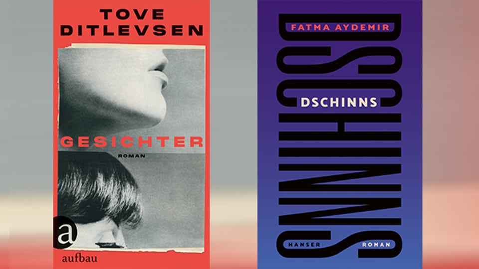 Buchempfehlungen am Literaturstammtisch: Romane von Tove Ditlevsen und Fatma Aydemir
