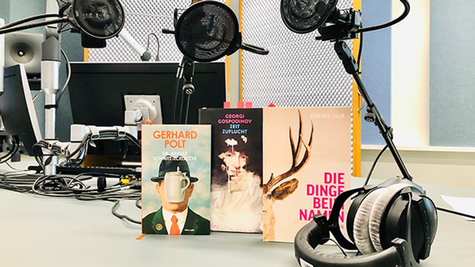 Neue Bücher von Gerhard Polt, Georgi Gospodinov und Rebekka Salm: Drei aktuelle Empfehlungen auf dem Literaturstammtisch.
