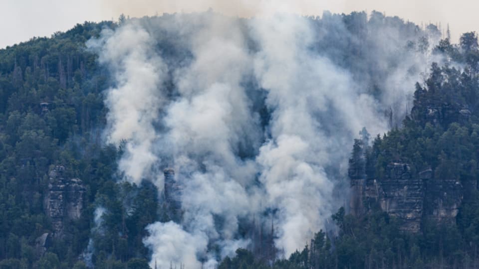  Waldbrand am Dienstag, 26. Juli 2022 im Nationalpark Sächsische Schweiz (D)