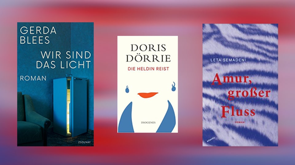 Buchempfehlungen mit Frauenpower: Neue Bücher von Gerda Blees, Doris Dörrie und Leta Semadeni