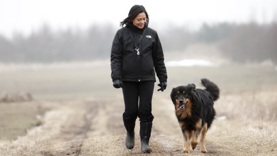 Wie folgsam muss mein Hund sein?