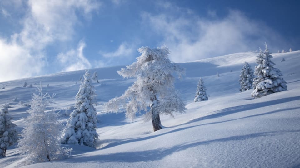 Eine Winterlandschaft in der Schweiz