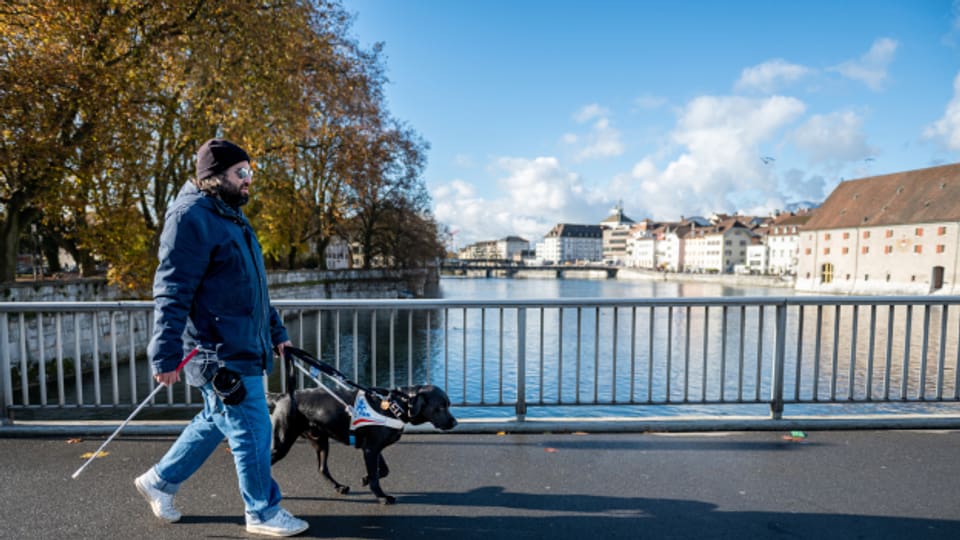 Ein Blindenhund darf nicht durch Füttern, Streicheln oder Ansprechen abgelenkt werden.