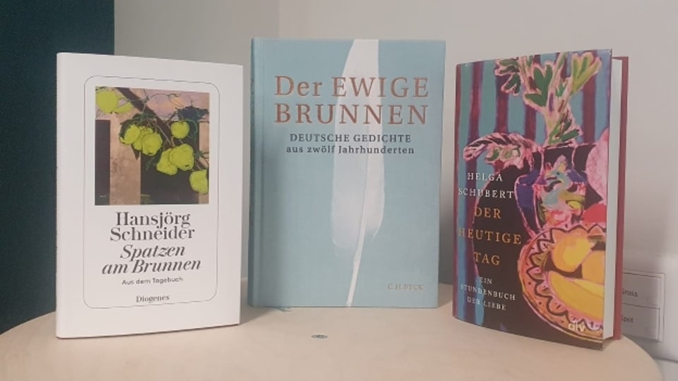 Drei aktuelle Buchempfehlungen auf dem Literaturstammtisch