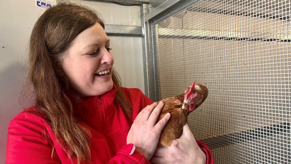 Ein Herz für Hennen - Marianne Oberli, Initiantin des Patenschaftsprojekts «Mein Huhn - Mein Ei» mit einer ihrer Hennen.