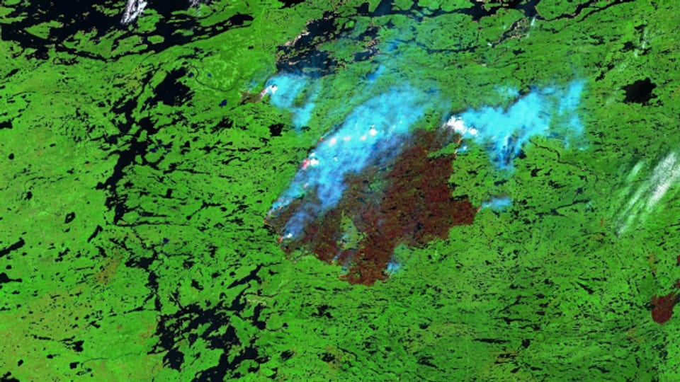 Falschfarbenbild eines Brandes in Kanada
