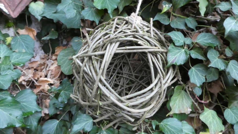 Geflochtene Kugeln aus Pflanzenmaterial können kleineren Vögeln als Winterversteck und im Frühling als Rohbau für das eigene Nest dienen.