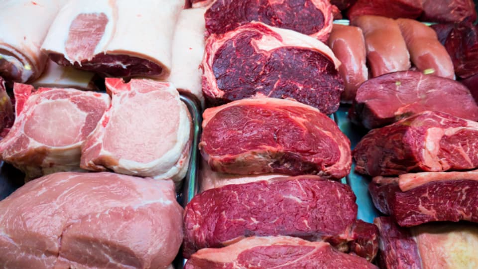 Fleisch  und andere Tierprodukte haben auf dem Teller der Zukunft nur noch wenig Platz.