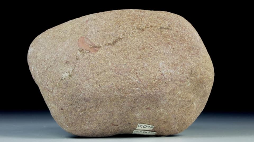 Ein Arkose-Sandstein aus dem Ediacarium im Stadtmuseum Berlin