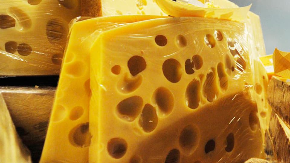 Wie kommen die Löcher in den Käse?