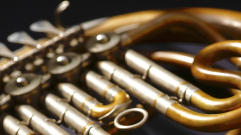 2 Oboen, 2 Klarinetten, 2 Hörner und 2 Fagotte gehören zur klassischen «Harmonie».