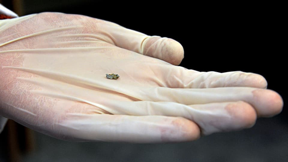 Sieht aus wie ein normaler Stein: ein Fragment des Meteorits in der Hand eines Forschers..