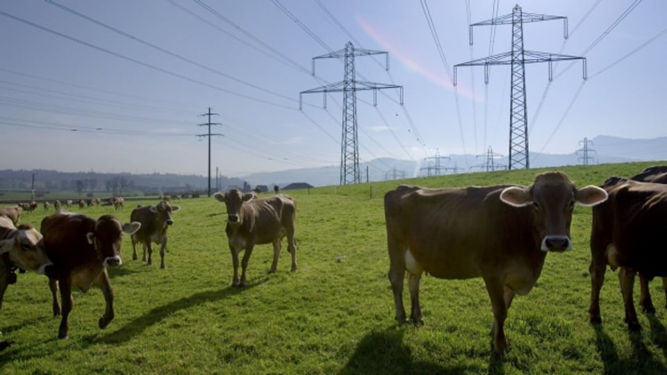Wie würde die Landwirtschaft ohne Strom funktionieren?