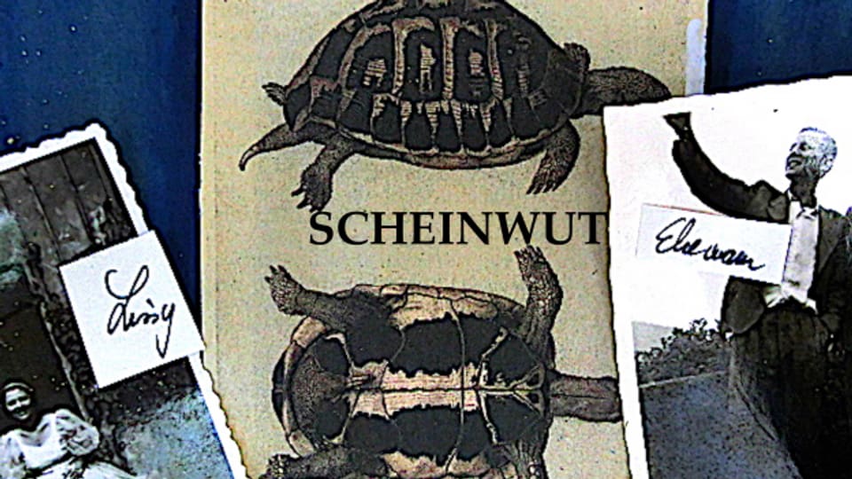 «Scheinwut» schliesst die Trilogie von Bettie I. Alfred.