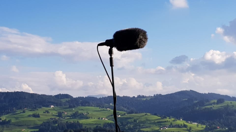 Binaurales Hörerlebnis: «Zmittst drin» von Rebecca Schnyder