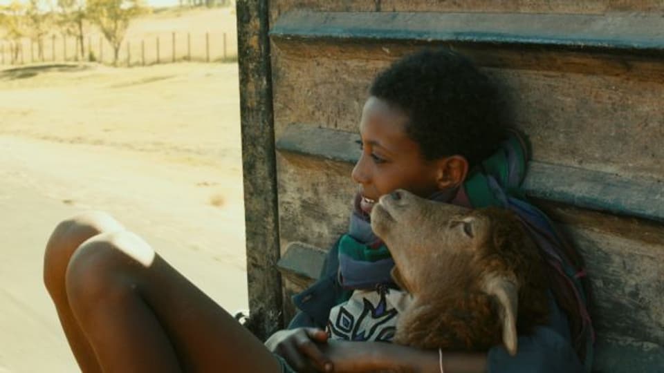 Ephraïm (Rediat Amare) mit seinem Lamm im Film «Lamb»