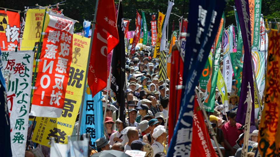 Über 7500 Leute versammelten sich im Juni 2013 in Tokyo gegen die erneute Inbetriebnahme von Atomkraftwerken.